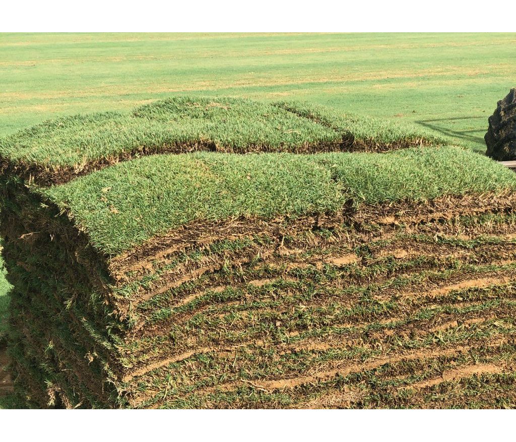 STUBBORN GRASS For - Emuria Fm 101.3 - Sauti Ya Border